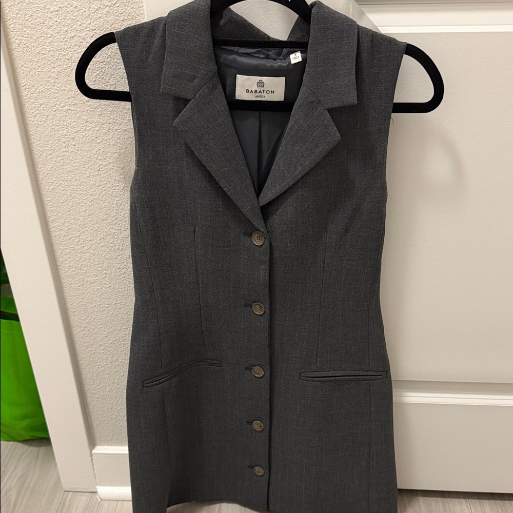 Aritzia Babaton Gray Button-Up Dress